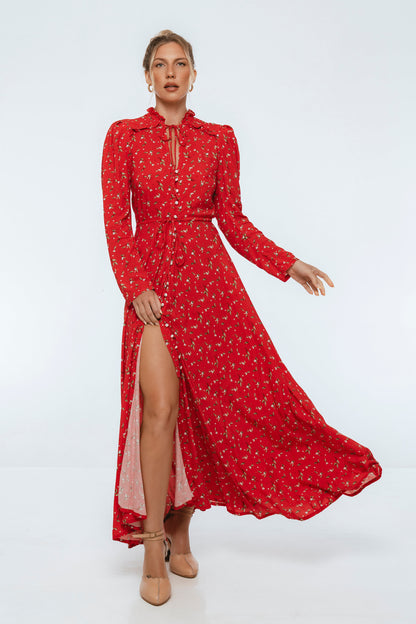 Poeme Long Sleeve Maxi Dress-7